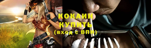 стаф Богданович