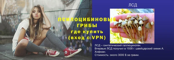 ALPHA PVP Богородск