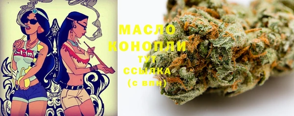 стаф Богданович