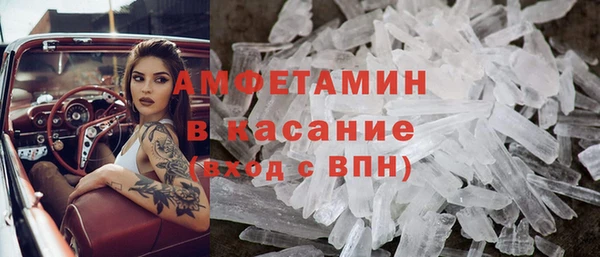 стаф Богданович
