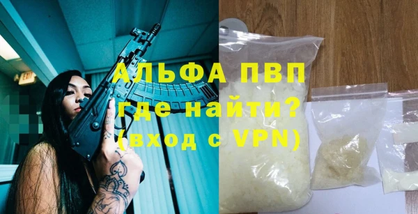 стаф Богданович