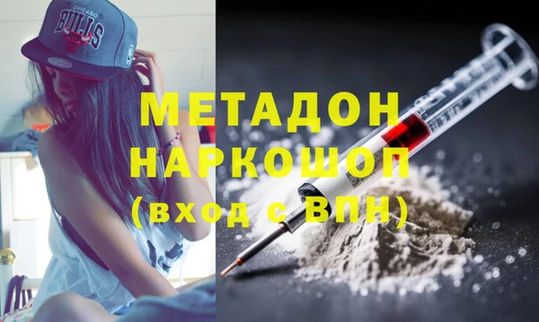 стаф Богданович