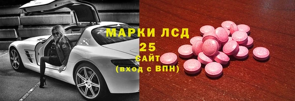 стаф Богданович