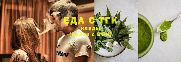 стаф Богданович