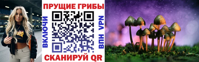 наркота Тольятти Галлюциногенные грибы Psilocybine cubensis