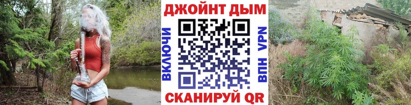 купить закладку  Тольятти  Марихуана сатива 